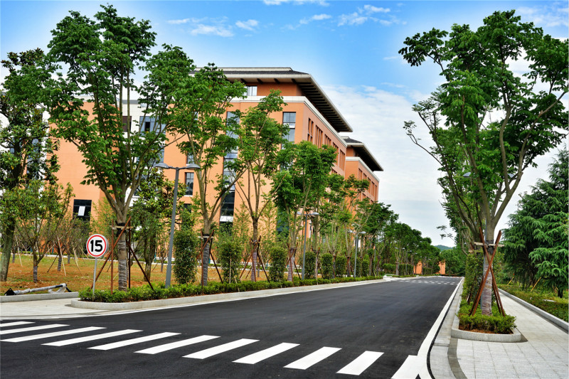 1559618507686641Cd08.jpg 3.jpg