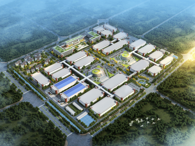 1583195881975337xofX.jpg 800.jpg